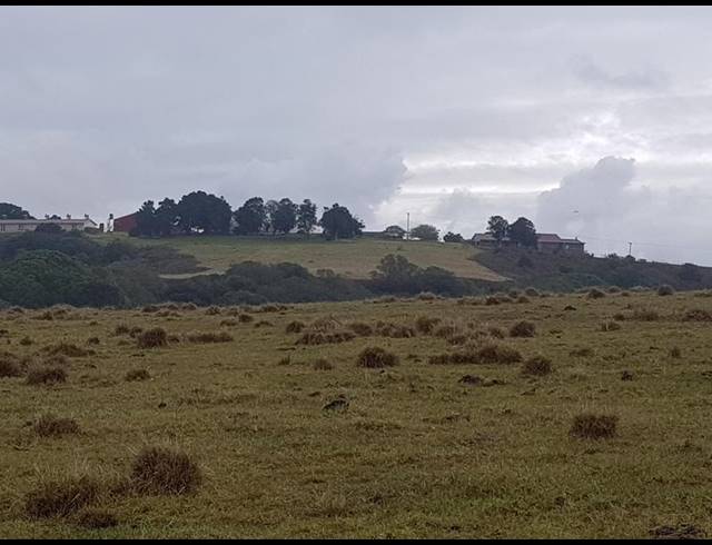 FARM FOR SALE IN HANSMOESKRAAL